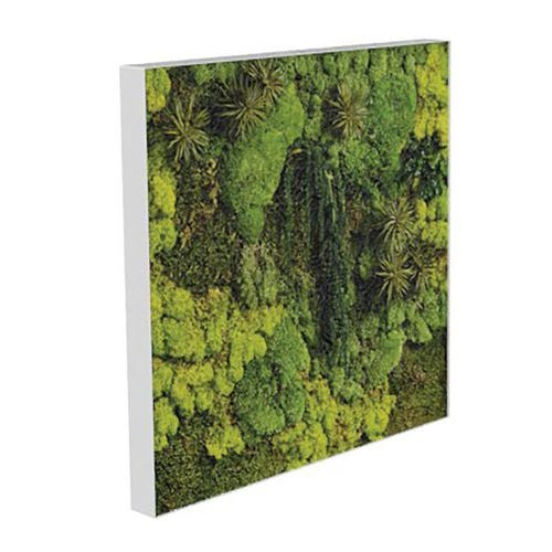 Cadre végétal n 19 Blanc - Image principale