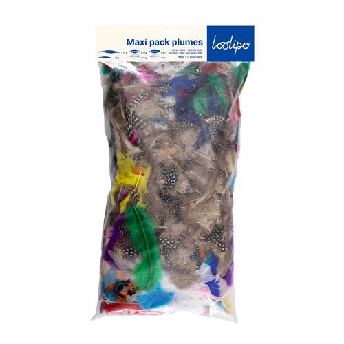 Sachet de 1000 plumes assorties - Image 5
