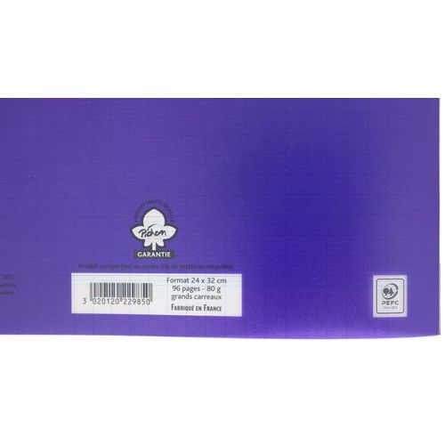 Cahier polypropylène 96 pages Seyes 24x32 cm 80g - Pichon - Image 5