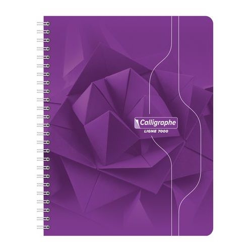 Cahier reliure hélicoïdale 17x22 cm 180 pages 5x5 70g - Image 3
