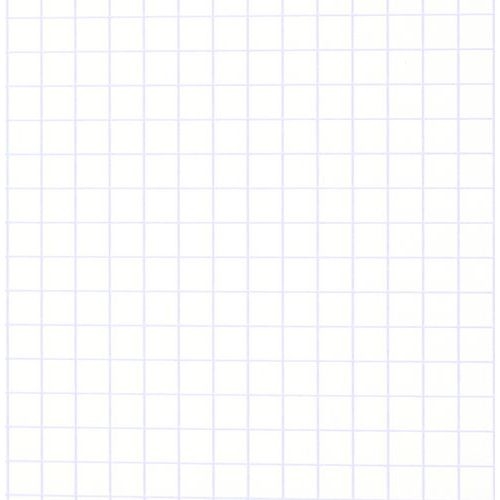 Feuillet recharge classeurs 200 pages A4 5x5 blanc 90g (Etui de 100) - Image 3