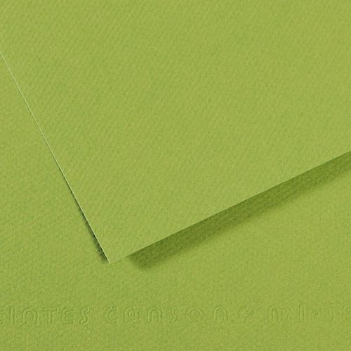 Papier dessin mi-teintes Canson 160 g - 50 x 65 - vert pomme - Image principale
