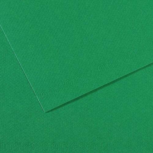 Papier dessin mi-teintes Canson 160 g - 50 x 65 - vert billard - Image principale