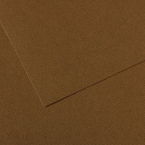 Papier dessin mi-teintes Canson 160 g - 50 x 65 - marron foncé - Image principale