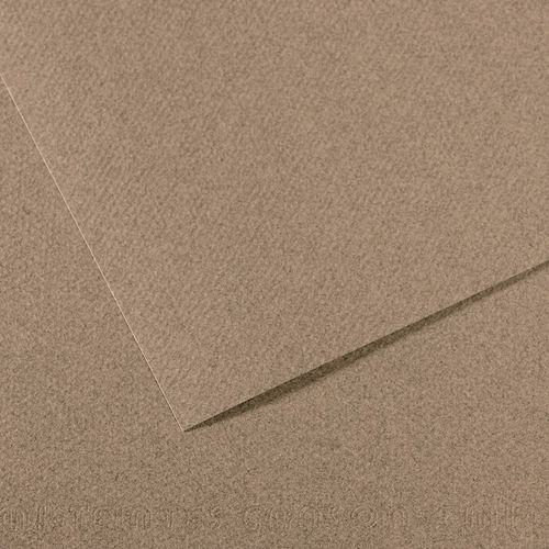 Papier dessin mi-teintes Canson 160 g - 50 x 65 - gris chiné - Image principale