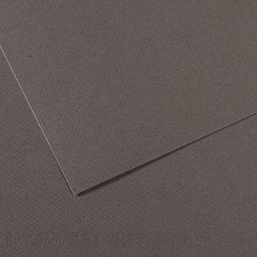 Papier dessin mi-teintes Canson 160 g - 50 x 65 - gris ardoise - Image principale