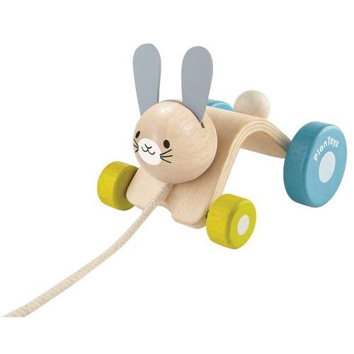 Lapin sautillant - Image principale