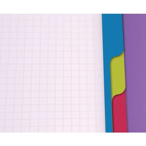 Linicolor Evolutiv'Book 16x21cm 180p Q.5x5 cadré perfo. 6 trous - Lot de 5 - Image 3
