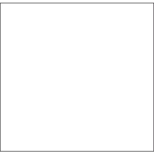 Lot de 30 Étiquette pour pince Proline XL Blanc - Image principale