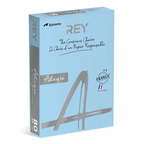 Ramette couleur vive 500 feuilles 80g A4 à la teinte - bleu ciel (vif) - Image principale