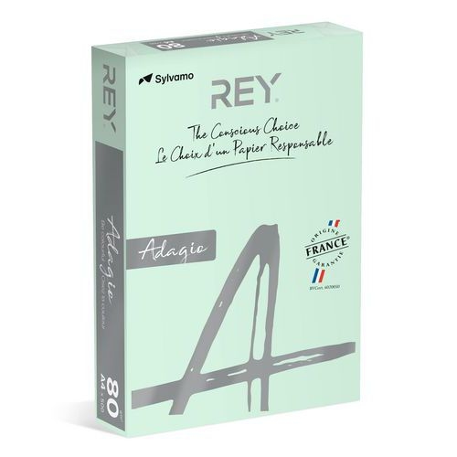 Ramette couleur vive 500 feuilles 80g A4 à la teinte - vert clair (vif) - Image principale