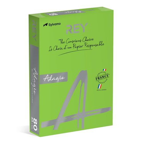 Ramette couleur vive 500 feuilles 80g A4 à la teinte - vert pomme (intense) - Image principale