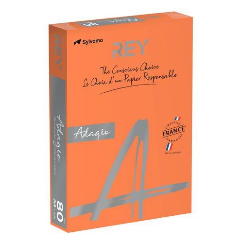 Ramette couleur vive 500 feuilles 80g A4 à la teinte - orange - Image principale