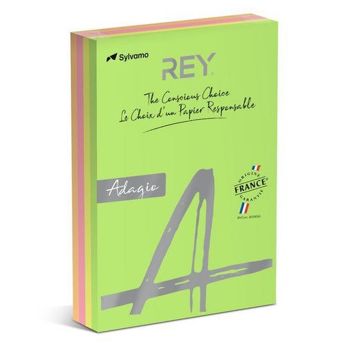 Ramette 500 feuilles A4 80g 4 teintes fluorescentes assorties - Image principale