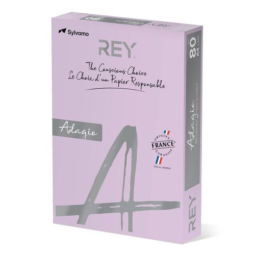 Ramette couleur vive 500 feuilles 80g A4 à la teinte - lilas - Image 3
