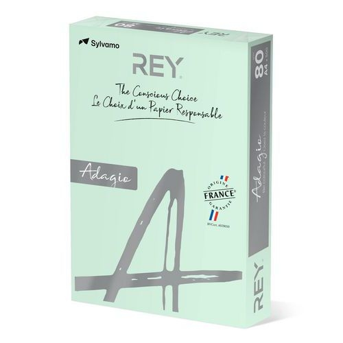 Ramette couleur vive 500 feuilles 80g A4 à la teinte - vert clair (vif) - Image 3