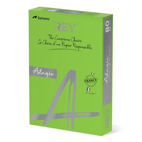 Ramette couleur vive 500 feuilles 80g A4 à la teinte - vert pomme (intense) - Image 2
