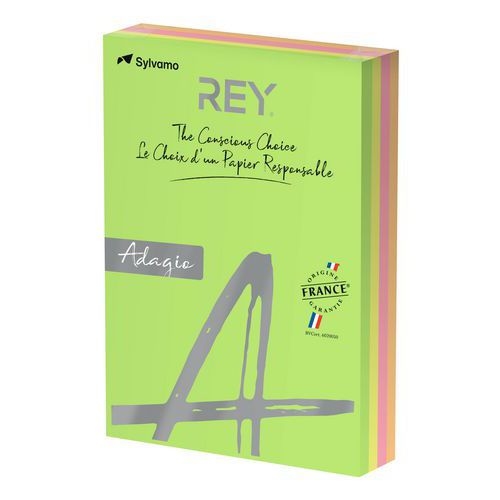 Ramette 500 feuilles A4 80g 4 teintes fluorescentes assorties - Image 2