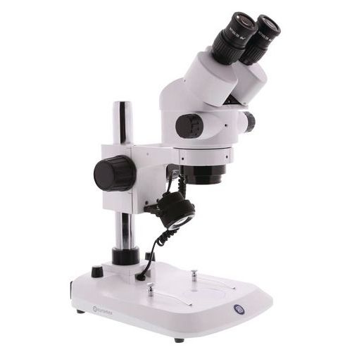 Microscope stéréoscopique à zoom - Grossissement 10x à 40x - Image principale