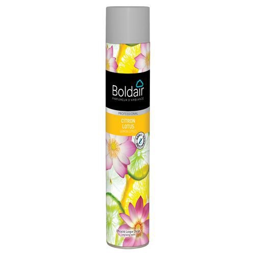 Aérosol parfumant Boldair - 750ml - Image principale