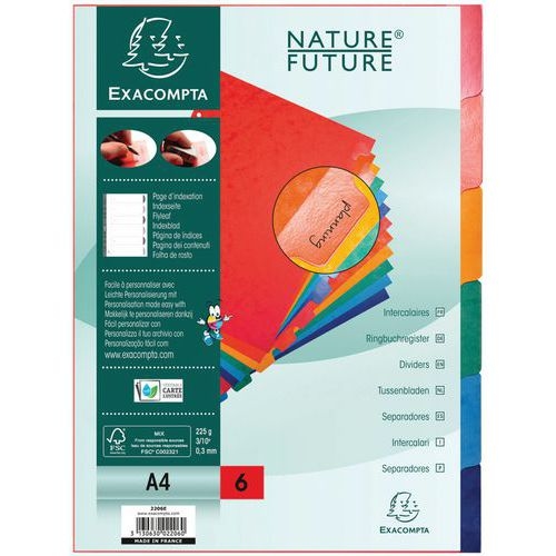 Lot de 25 Intercalaires carte lustrée 225g avec onglets 6 positions A4 - Image principale