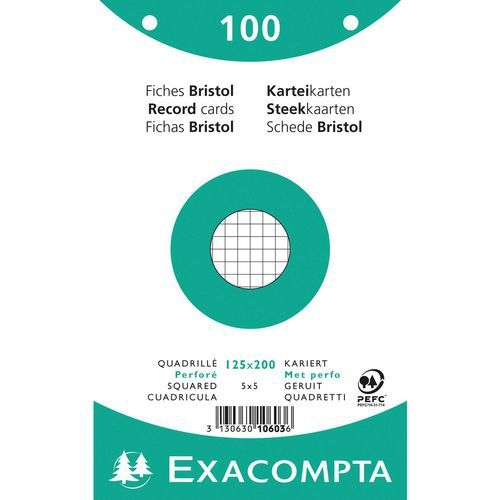 Paquet 100 fiches blanc oeilm quadoeillé perforé 125x200mm (lot de 12) - Image principale