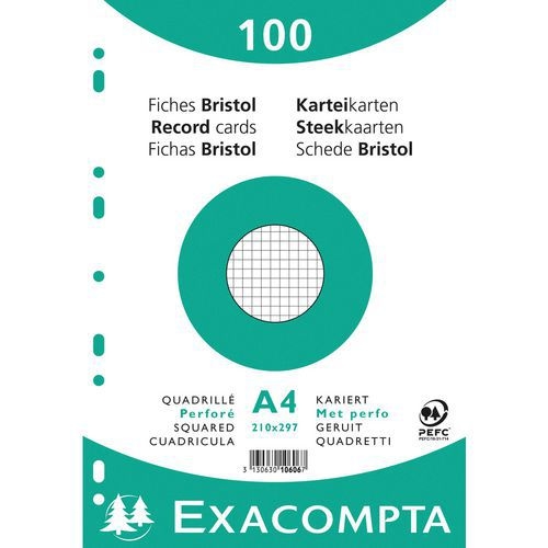 Lot de 10 Paquet 100 fiches sous film quadrillé perforé 210x297mm - Image principale