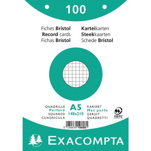 Paquet 100 fiches blanc oeilm quadoeillé perforé 148x210mm (lot de 10) - Image principale