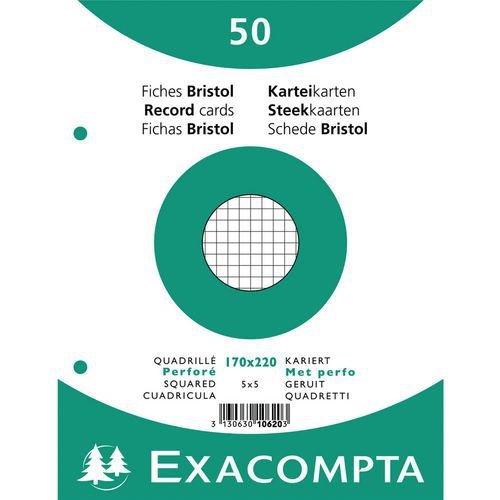 Lot de 24 Paquet 50 fiches sous film quadrillé perforé 170x220mm - Image principale