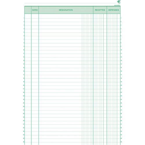 Lot de 5 Manifold recettes dépenses 29,7x21cm 50 feuillets - Image 2