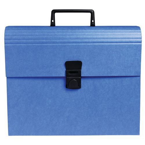 Trieur valisette avec poignée 12 compartiments iderama® A4 - Image principale
