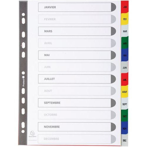 Lot de 20 Intercalaires imprimés mensuels pp couleurs janv-décembre A4 - Image principale