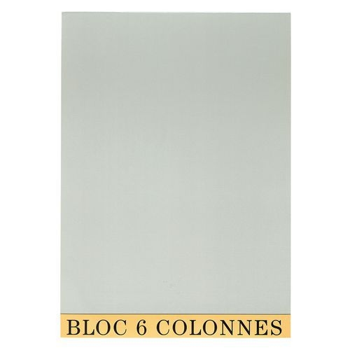 Lot de 5 Bloc de contrôle comptable 29,7x21cm 6 col. 70 feuillets - Image principale