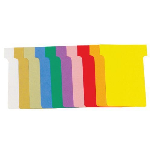 Carton de 10 étuis de 100 fiches en T n°1,5 - Image principale