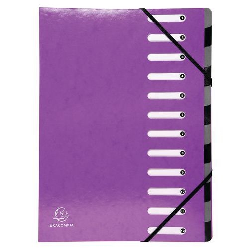 Lot de 6 trieurs harmonica iderama 12 compartiments Violet - Image principale