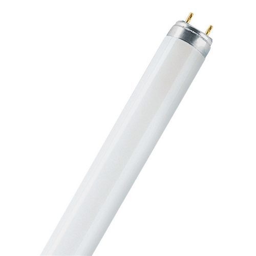 Lot de 25 tubes fluorescentumilux G13 18 W - 18000h Type : 830 - Image principale