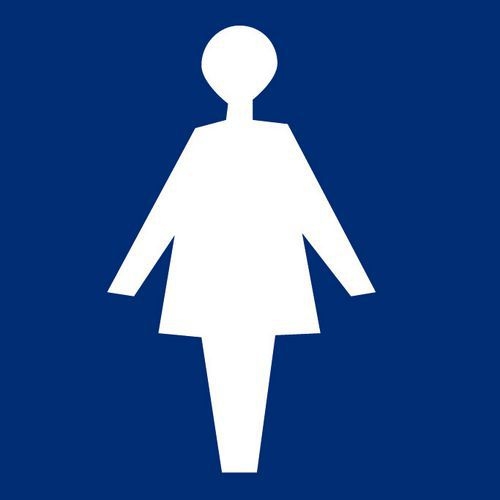 Pictogramme de signalisation adhésif 20 x 20 cm - Femme - Image principale