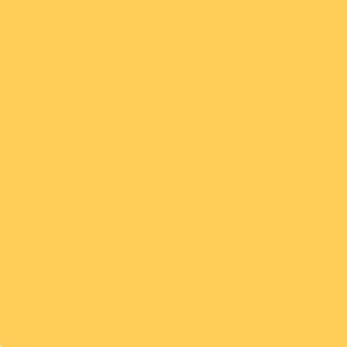 Feuille 240g 50x65 - jaune - Image principale
