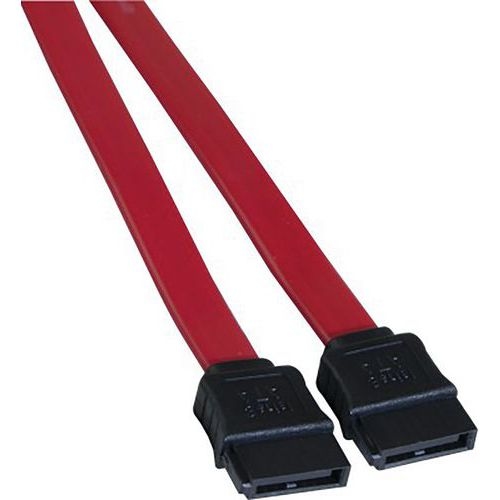 Câble SATA - 75 cm - Image principale