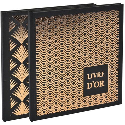Lot de 2 livres d'or 140 pages 21x19cm PALMYRE Visuels assort - Image principale