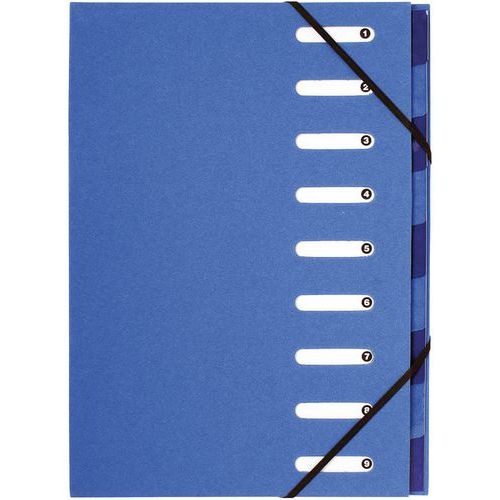 Lot de 6 Trieur HARMONIKA Forever 9 compartiments - bleu clair - Image principale