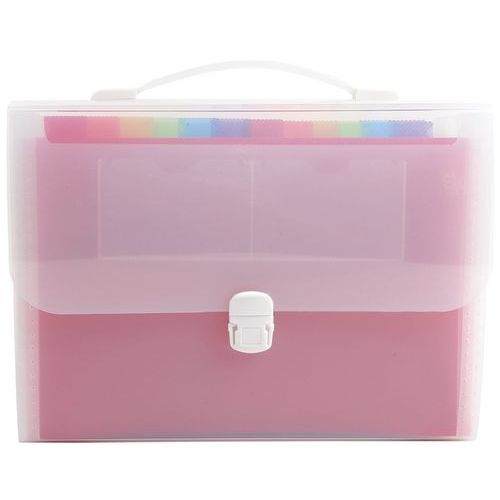 Lot de 4 Trieur valisette avec poignée 24 compartiments Crystal - A4 - Image principale