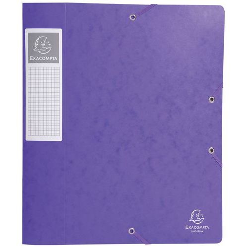 Lot de 10 Bte de class. Cartobox Dos 60mm cte lustrée A4 violet - Image principale