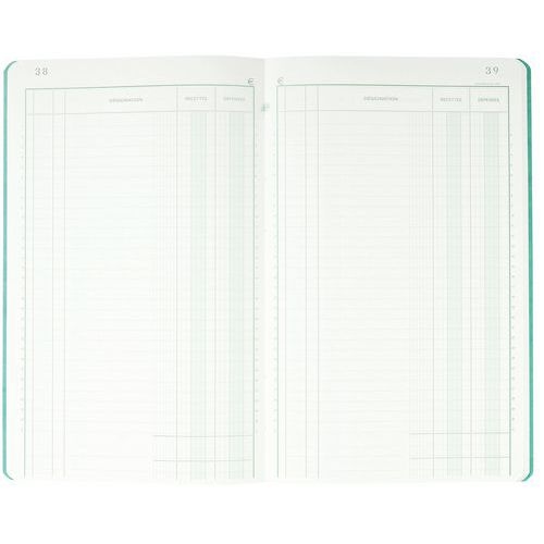 Lot de 5 Piqûre 32x19,5cm recettes-dépenses 80 pages - Image 3