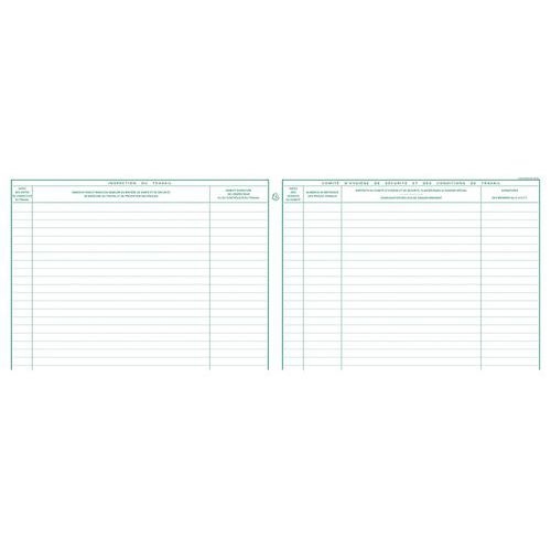Lot de 5 Registre de l'Inspection du travail et du CHSCT - folioté - 16 pages - Image 2