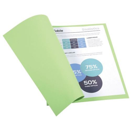 Lot de 5 paquets 100 chem. Forever 170 100% recyclé 24x32cm vert bleu - Image 3