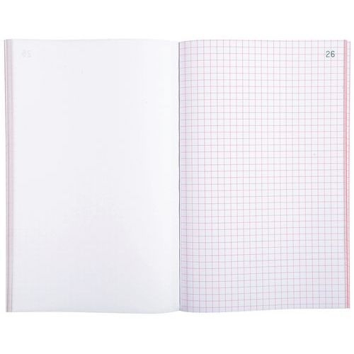 Lot de 10 Manifold quadrillé 5x5 21x13,5cm 50 feuillets dupli autocop. - Image 4