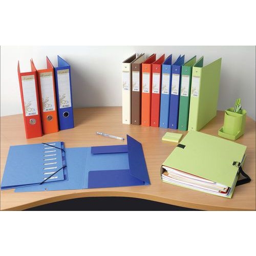 Lot de 10 Class. remb. papier 4 anneaux 30mm Forever A4 8 col. assort. - Image 5