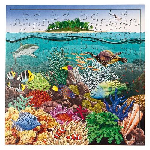 Puzzle des récifs coralliens - Image principale