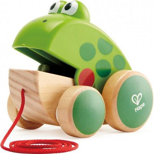 Grenouille à promener - Image principale